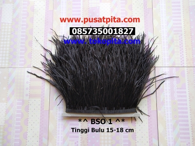 large2 BSO 1